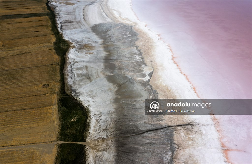 Turkiye's Salt Lake turns into pink