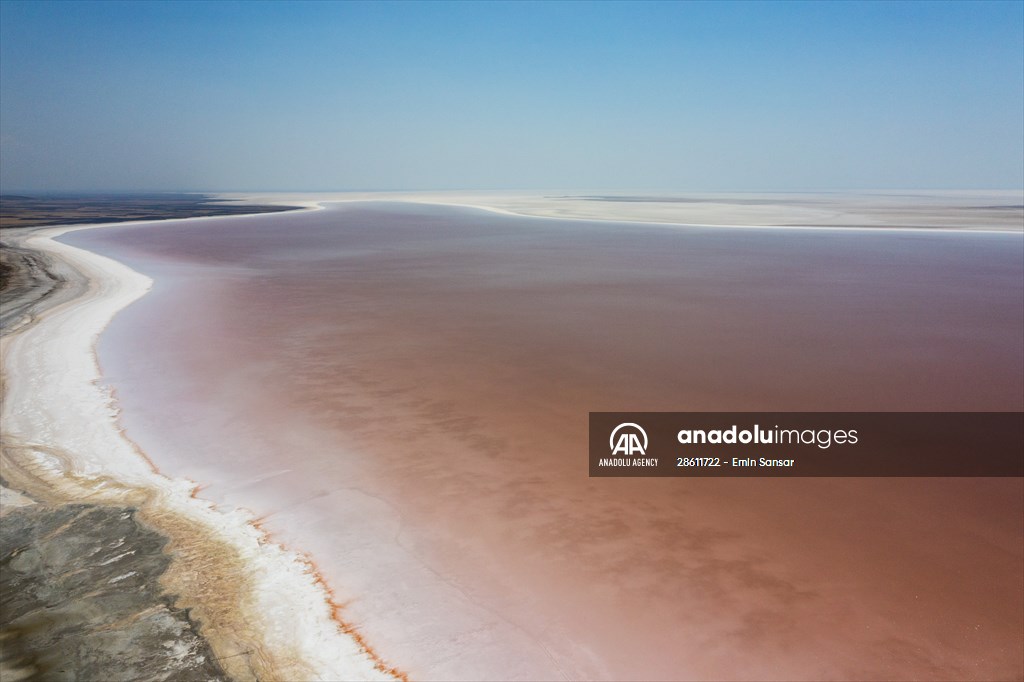 Turkiye's Salt Lake turns into pink