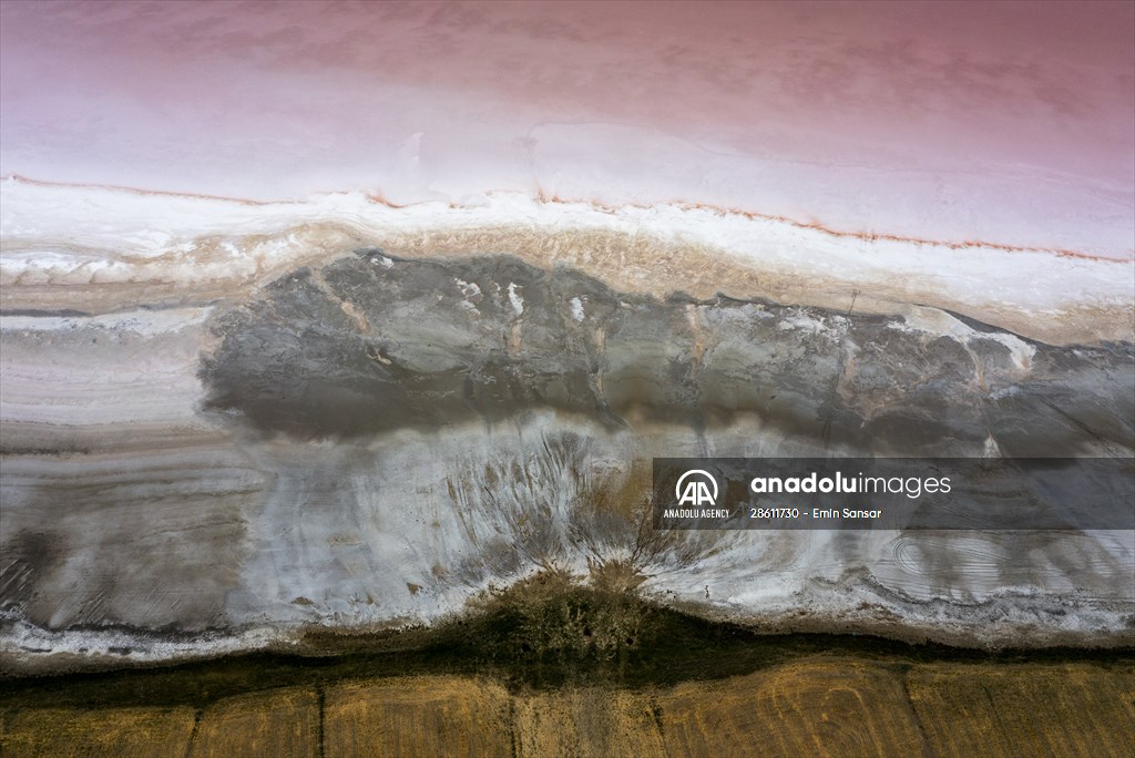 Turkiye's Salt Lake turns into pink