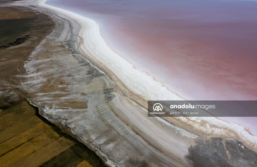 Turkiye's Salt Lake turns into pink