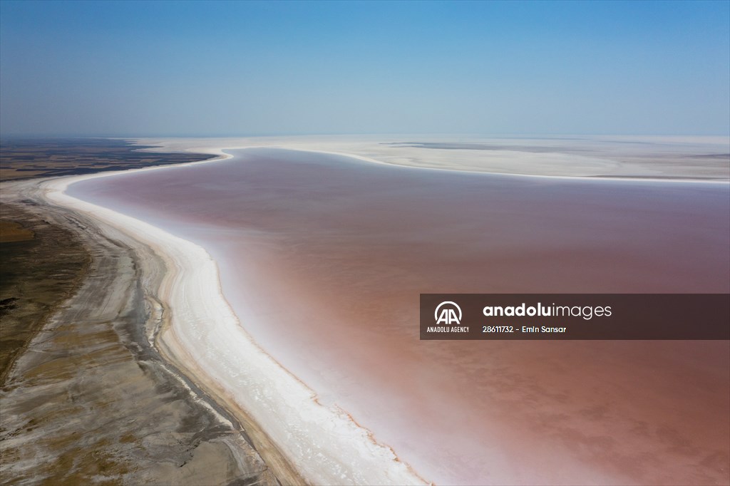 Turkiye's Salt Lake turns into pink