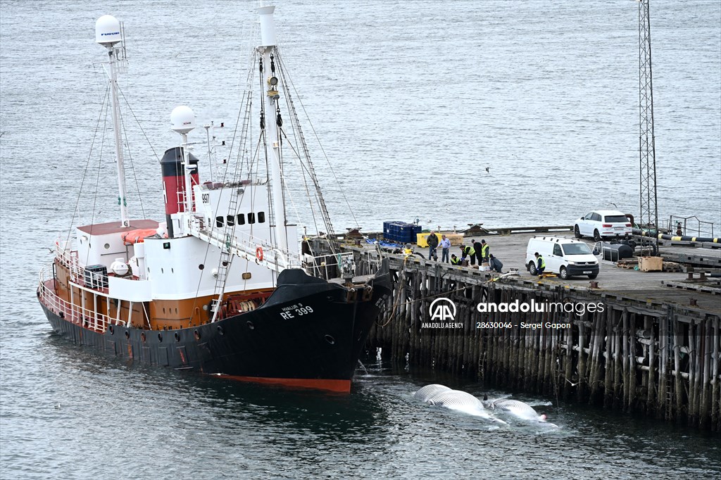 Whaling station in the village of Midsandur, Iceland