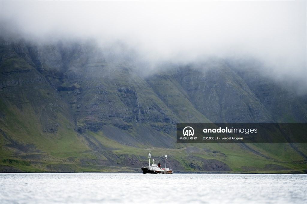 Whaling station in the village of Midsandur, Iceland