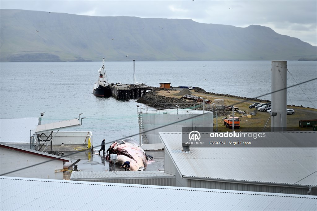 Whaling station in the village of Midsandur, Iceland