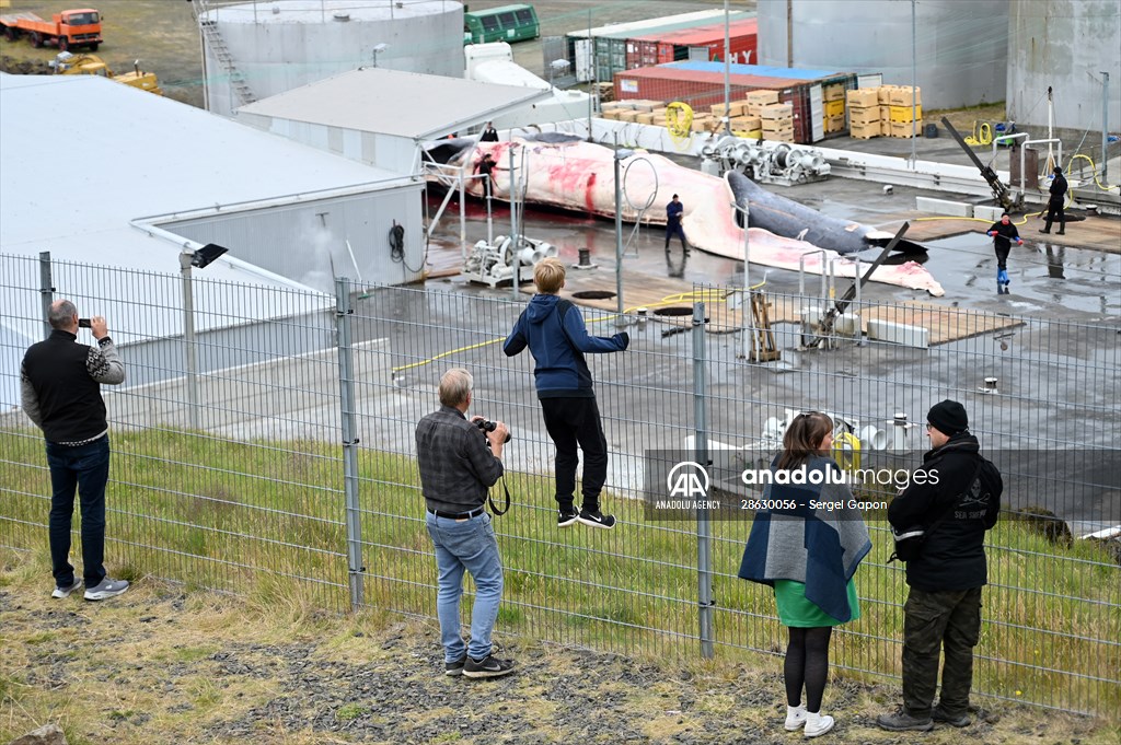 Whaling station in the village of Midsandur, Iceland