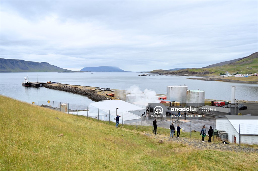 Whaling station in the village of Midsandur, Iceland