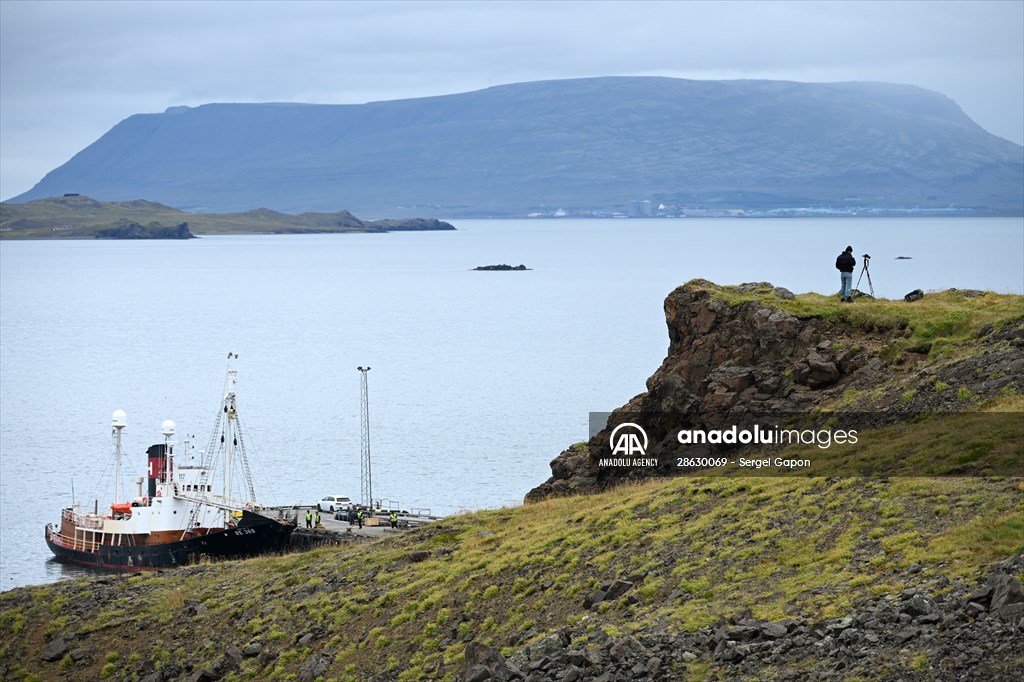 Whaling station in the village of Midsandur, Iceland