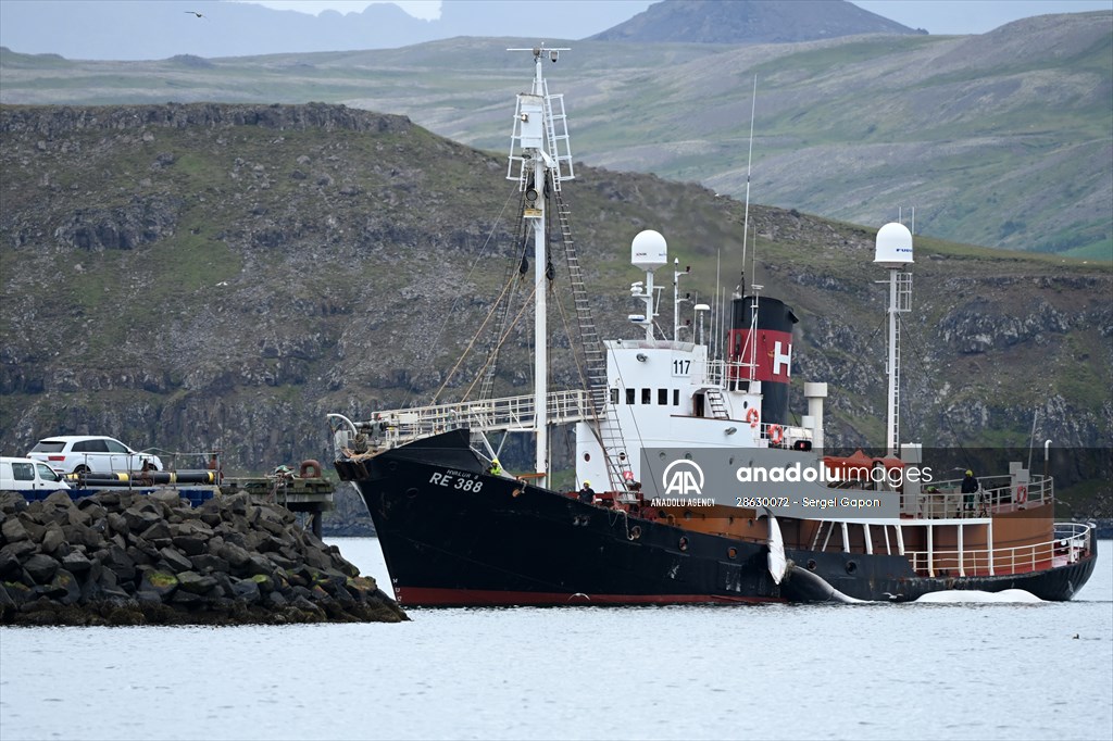 Whaling station in the village of Midsandur, Iceland