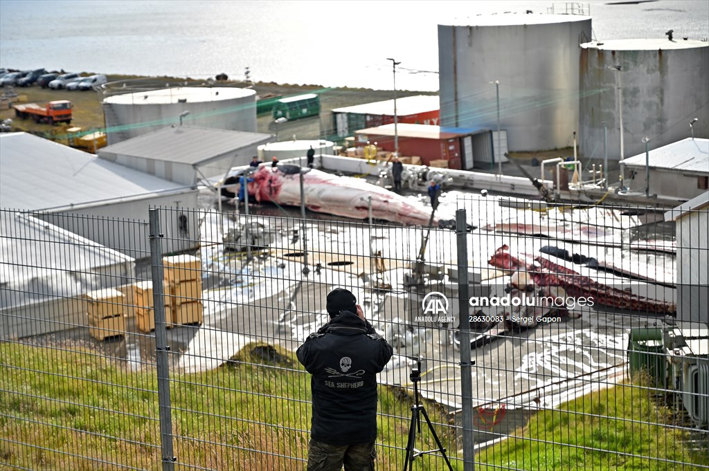 Whaling station in the village of Midsandur, Iceland