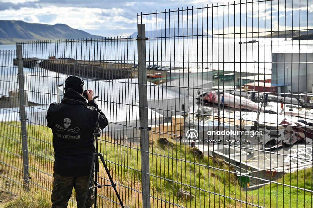 Whaling station in the village of Midsandur, Iceland