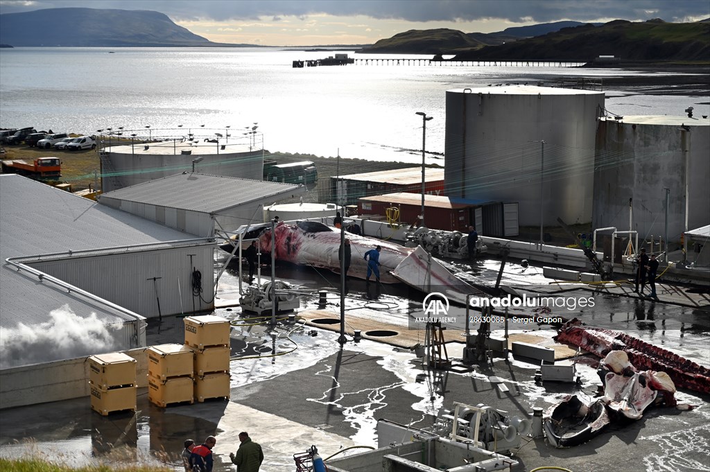 Whaling station in the village of Midsandur, Iceland