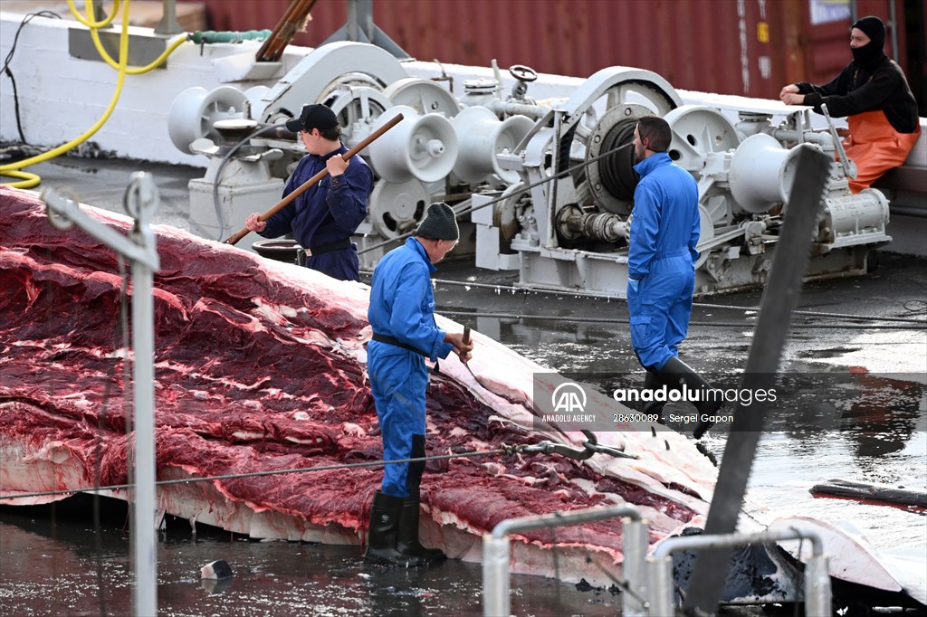 Whaling station in the village of Midsandur, Iceland