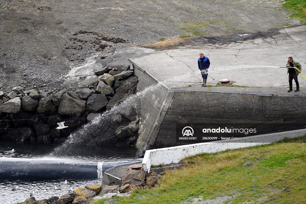 Whaling station in the village of Midsandur, Iceland