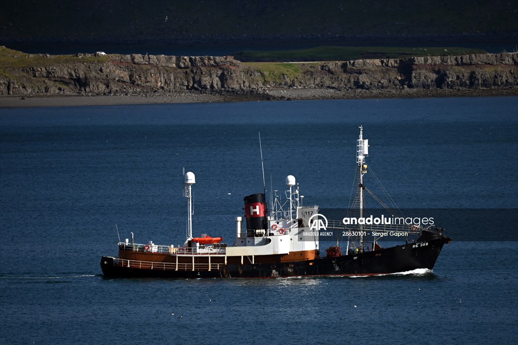 Whaling station in the village of Midsandur, Iceland