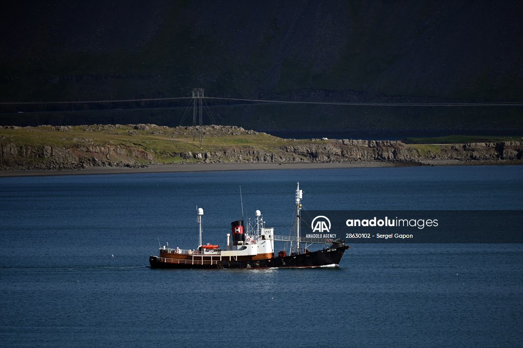 Whaling station in the village of Midsandur, Iceland