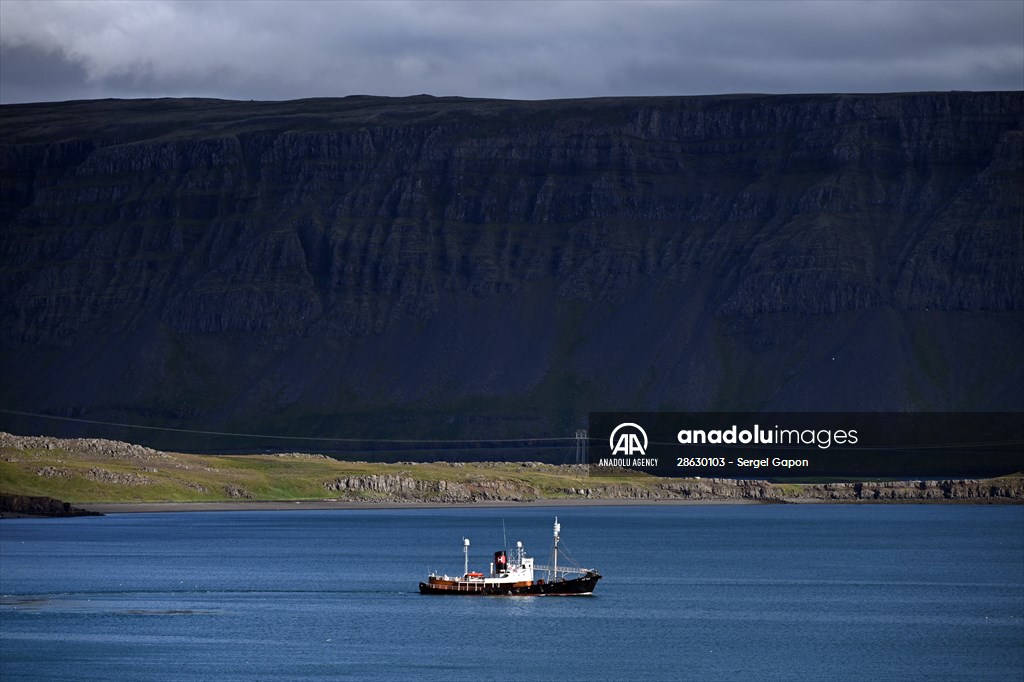 Whaling station in the village of Midsandur, Iceland