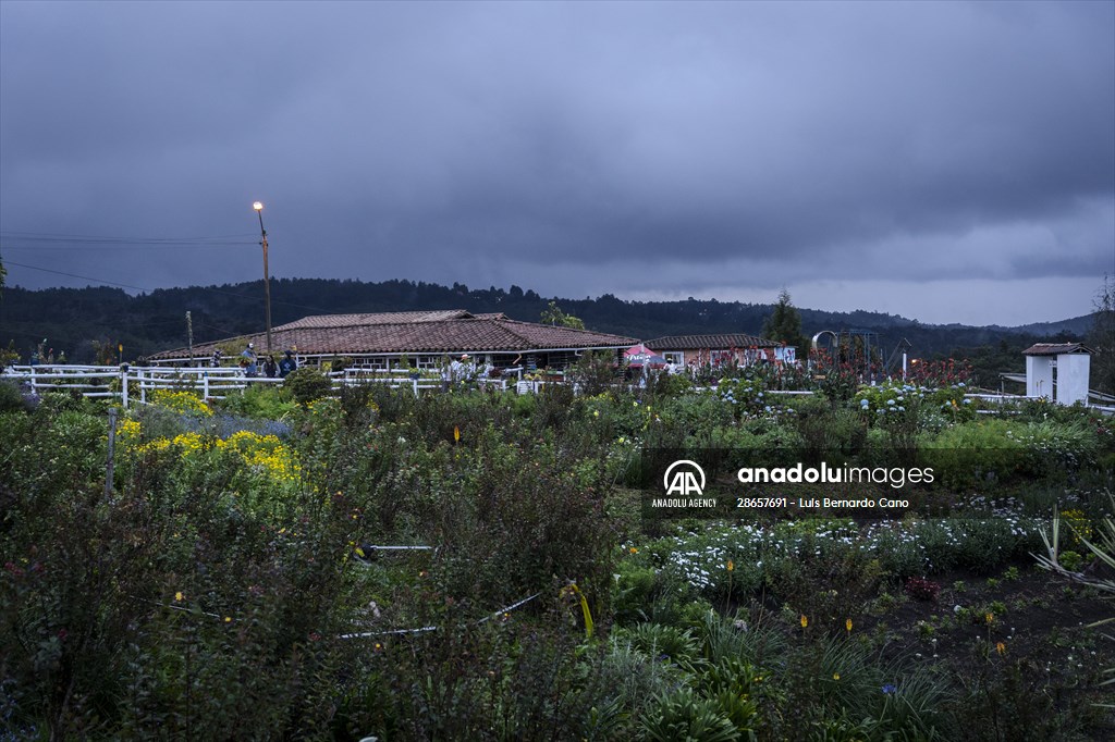 Flower Fair in Medellin