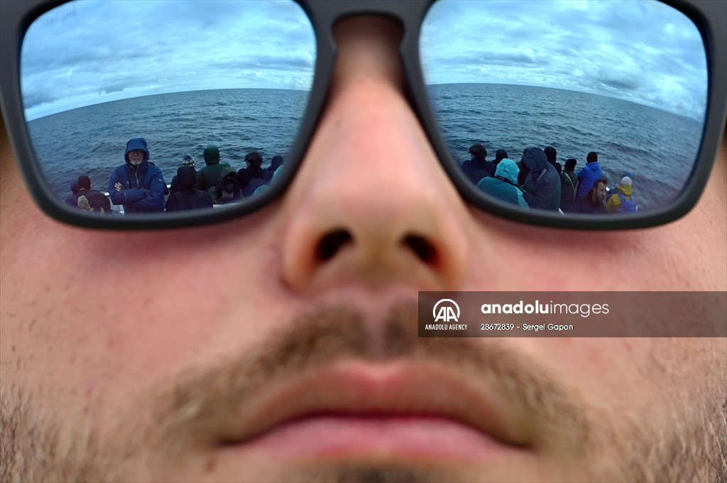 Whale watching in Fjallabak Nature Reserve