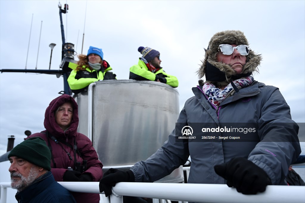 Whale watching in Fjallabak Nature Reserve