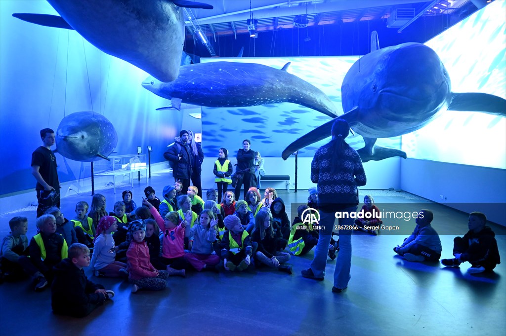 Whale watching in Fjallabak Nature Reserve