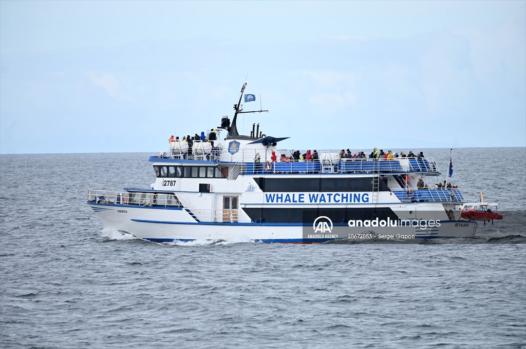 Whale watching in Fjallabak Nature Reserve