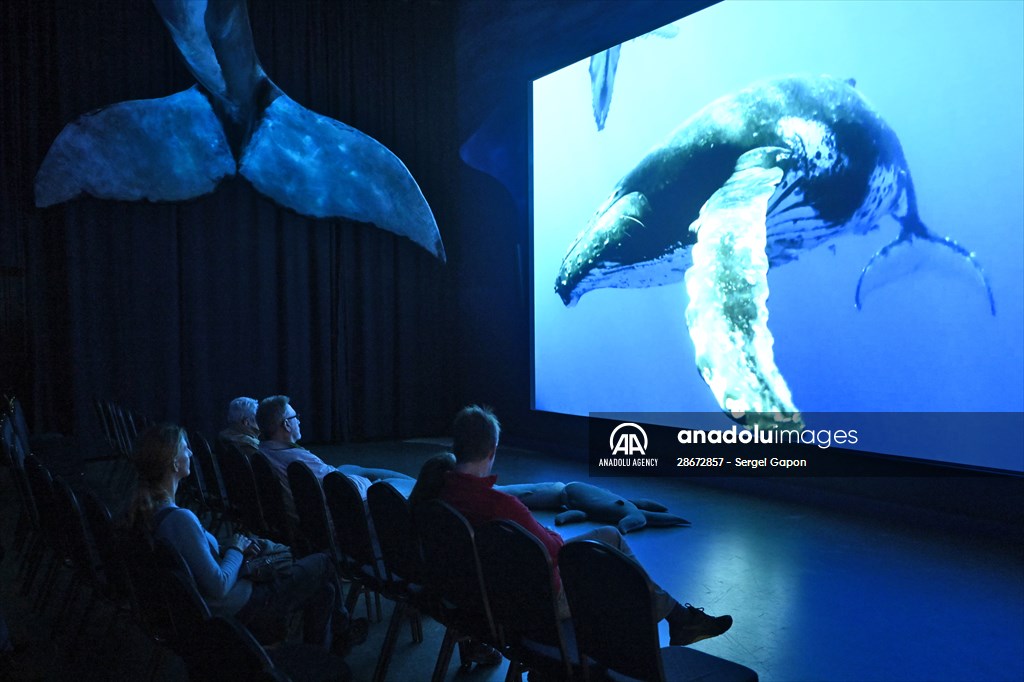 Whale watching in Fjallabak Nature Reserve