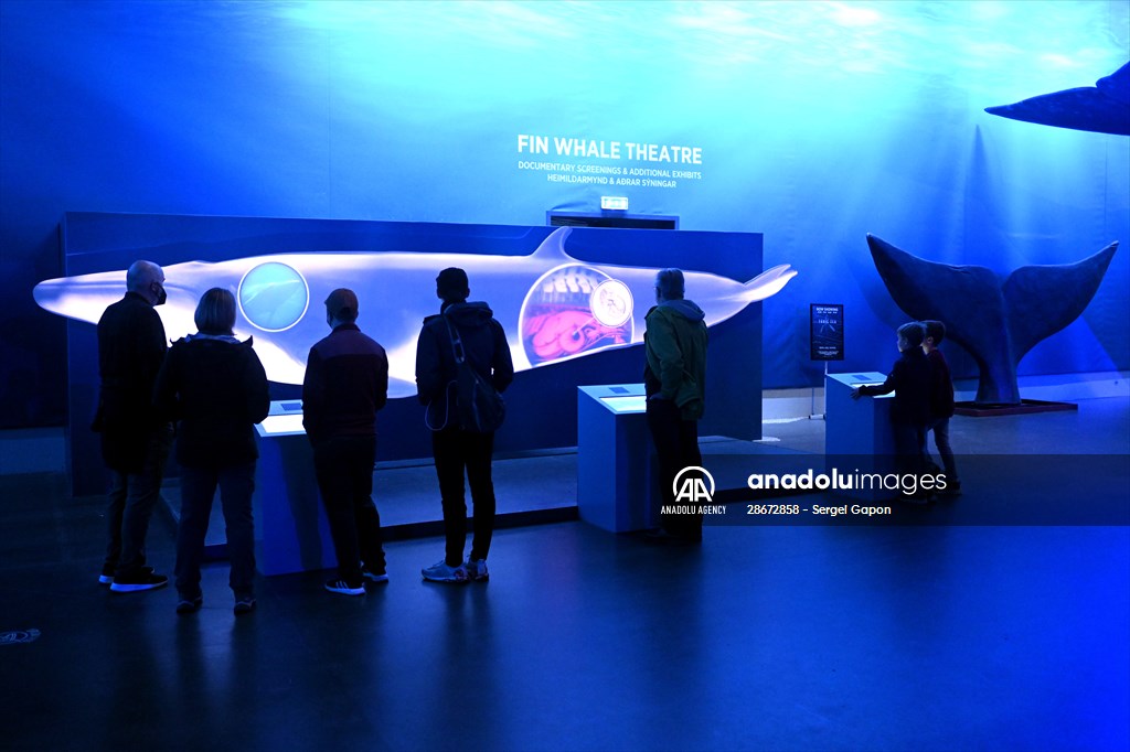 Whale watching in Fjallabak Nature Reserve