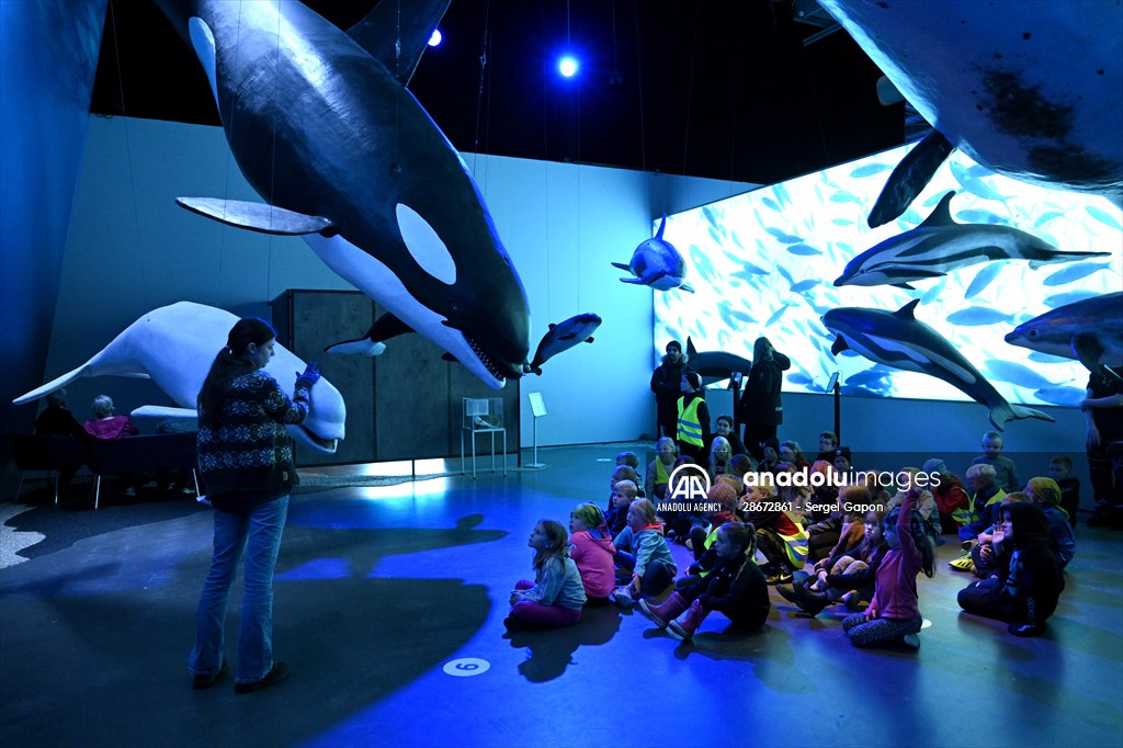 Whale watching in Fjallabak Nature Reserve