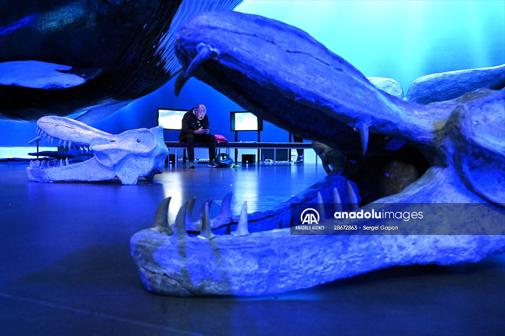 Whale watching in Fjallabak Nature Reserve