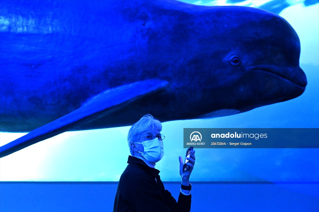 Whale watching in Fjallabak Nature Reserve