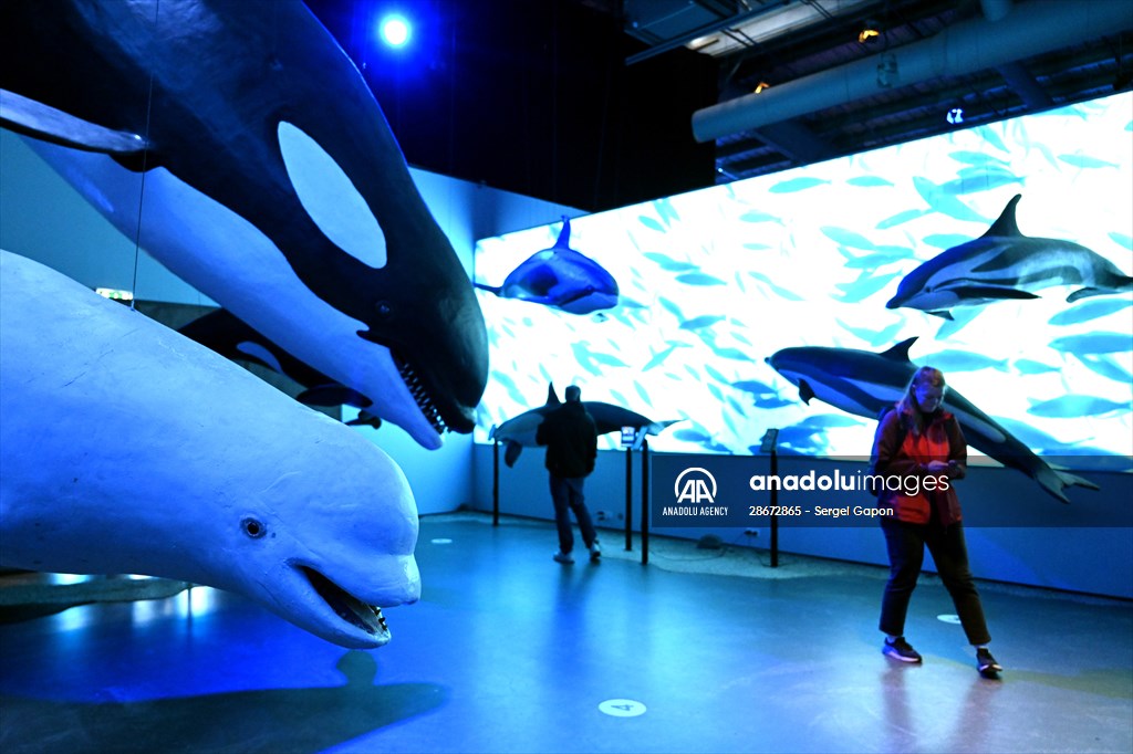 Whale watching in Fjallabak Nature Reserve