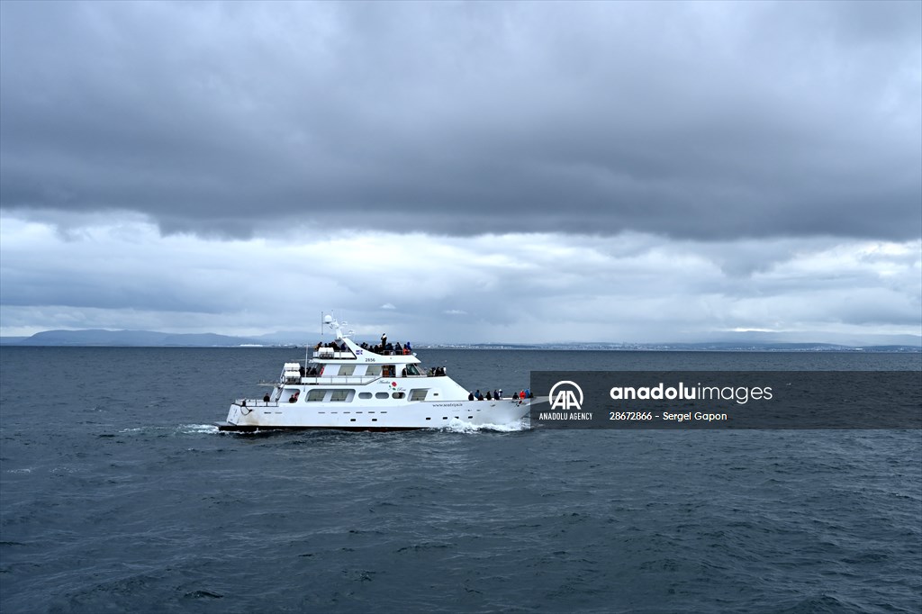Whale watching in Fjallabak Nature Reserve