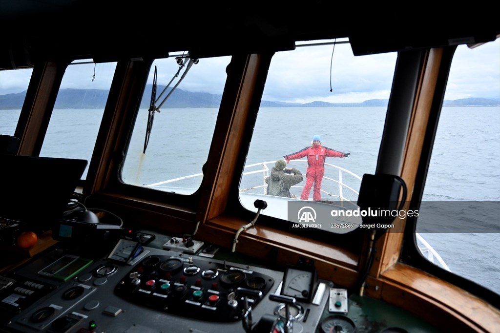 Whale watching in Fjallabak Nature Reserve
