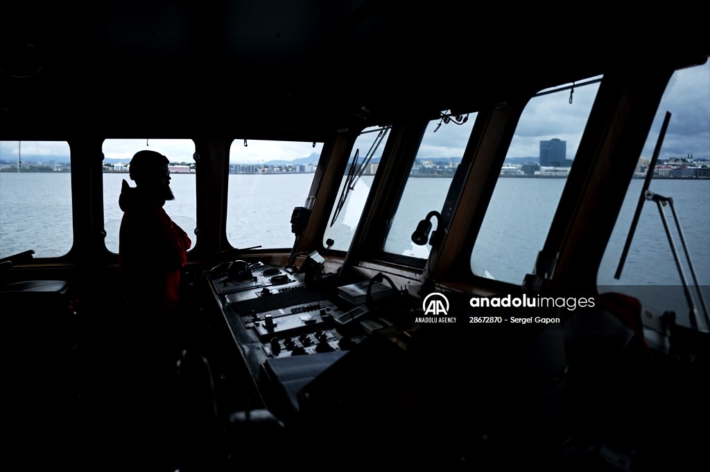 Whale watching in Fjallabak Nature Reserve