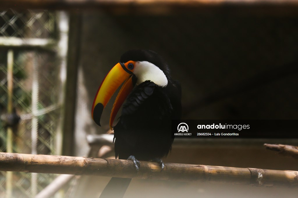 Senda Verde wildlife sanctuary in Bolivia