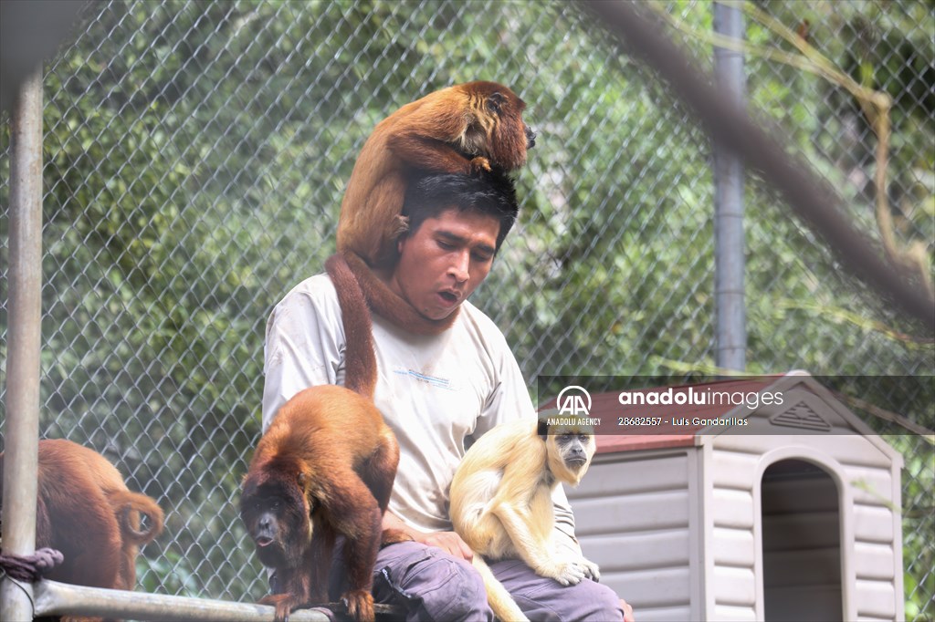 Senda Verde wildlife sanctuary in Bolivia