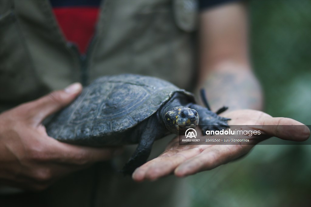 Senda Verde wildlife sanctuary in Bolivia