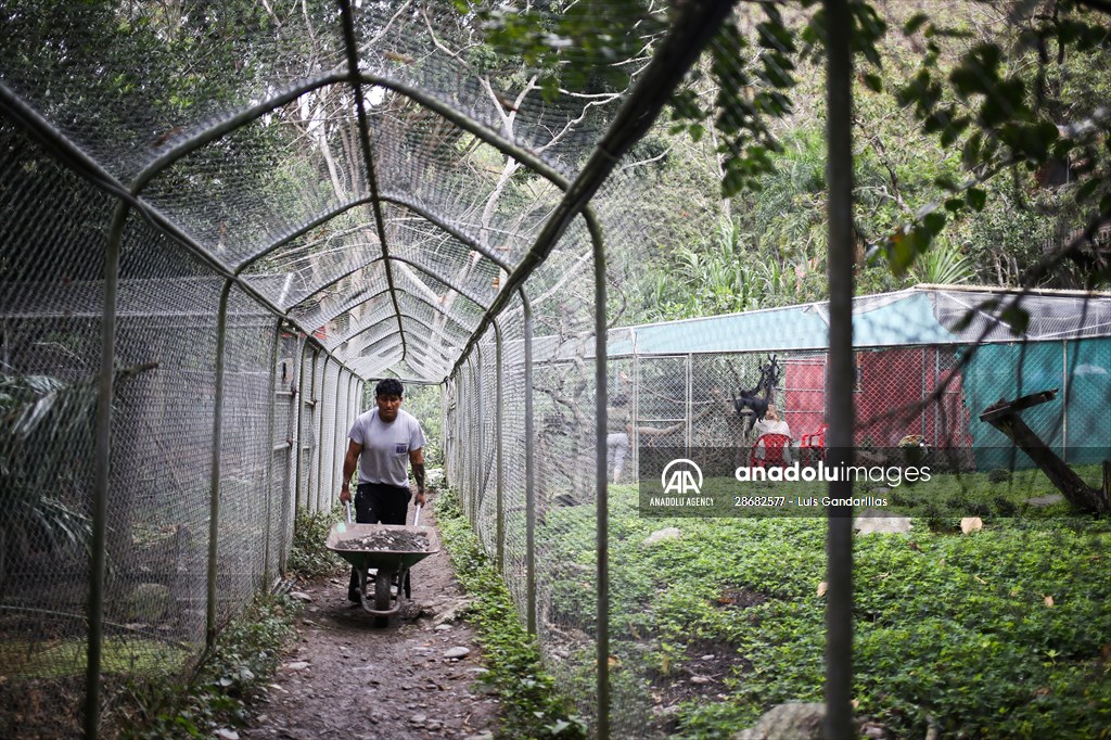 Senda Verde wildlife sanctuary in Bolivia