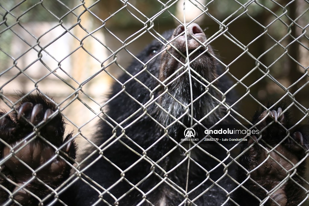 Senda Verde wildlife sanctuary in Bolivia