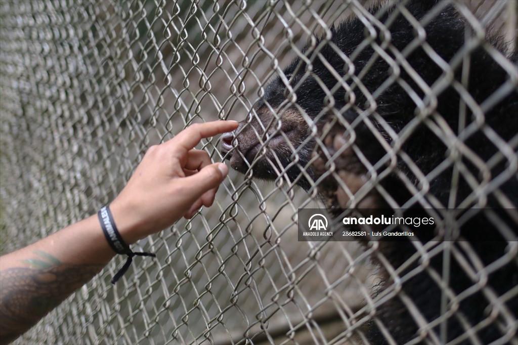 Senda Verde wildlife sanctuary in Bolivia