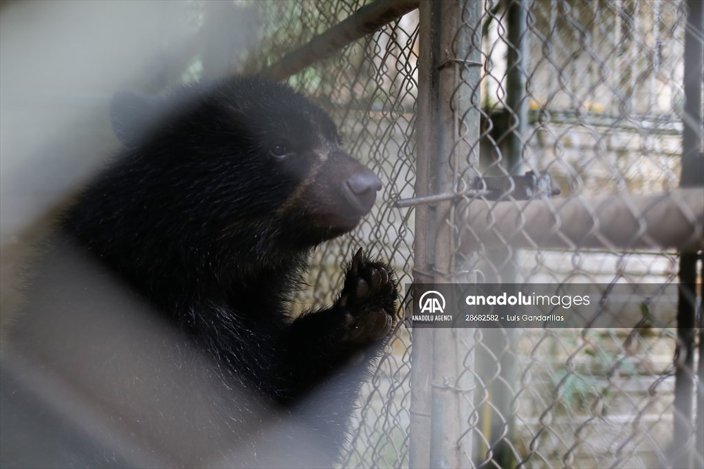Senda Verde wildlife sanctuary in Bolivia