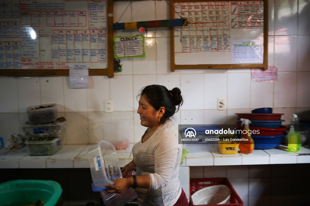 Senda Verde wildlife sanctuary in Bolivia