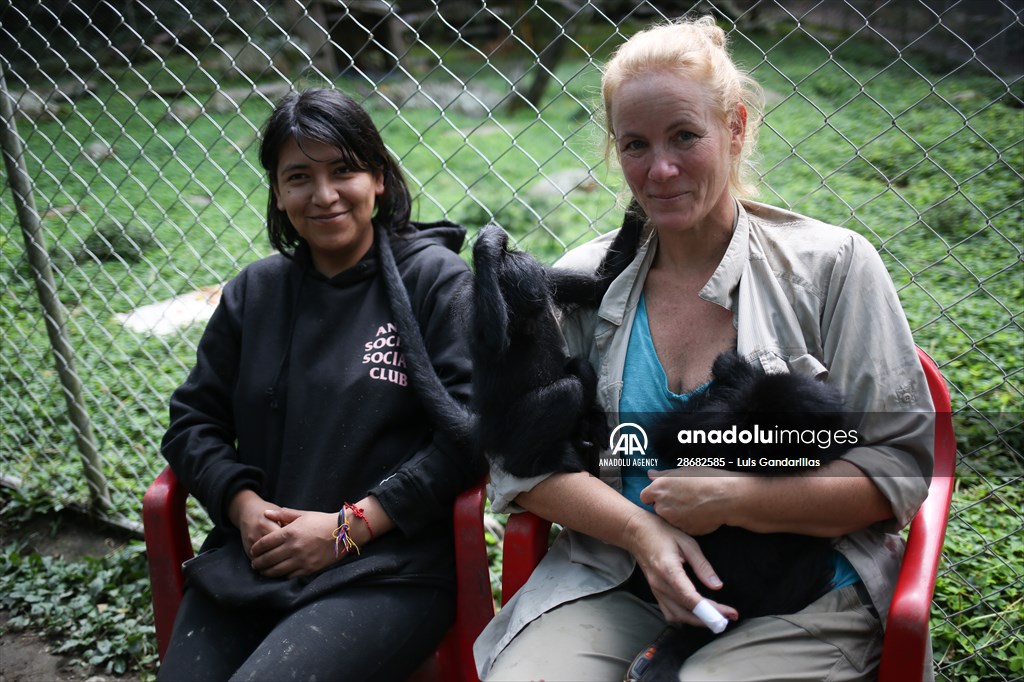 Senda Verde wildlife sanctuary in Bolivia