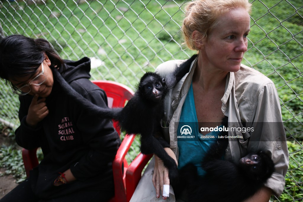 Senda Verde wildlife sanctuary in Bolivia