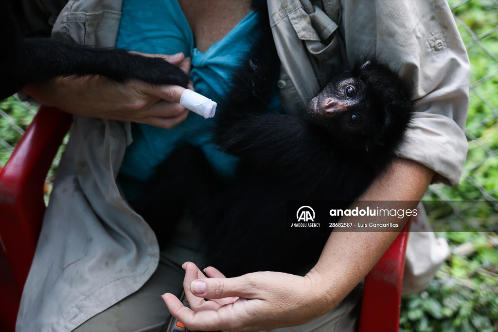 Senda Verde wildlife sanctuary in Bolivia