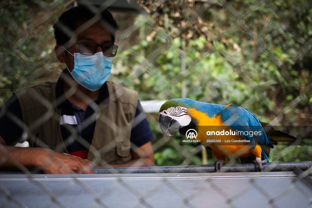 Senda Verde wildlife sanctuary in Bolivia