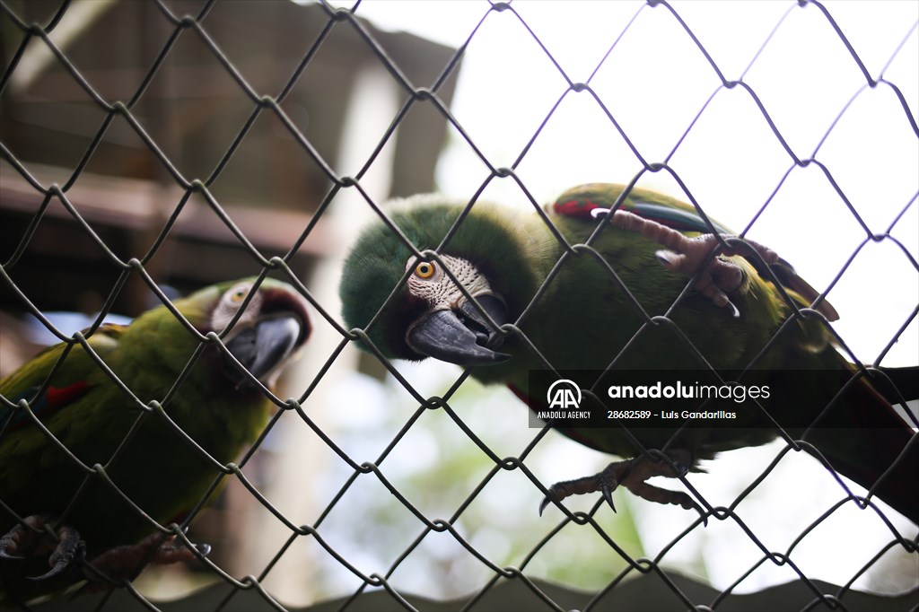 Senda Verde wildlife sanctuary in Bolivia