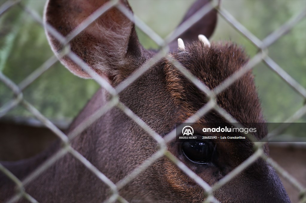 Senda Verde wildlife sanctuary in Bolivia