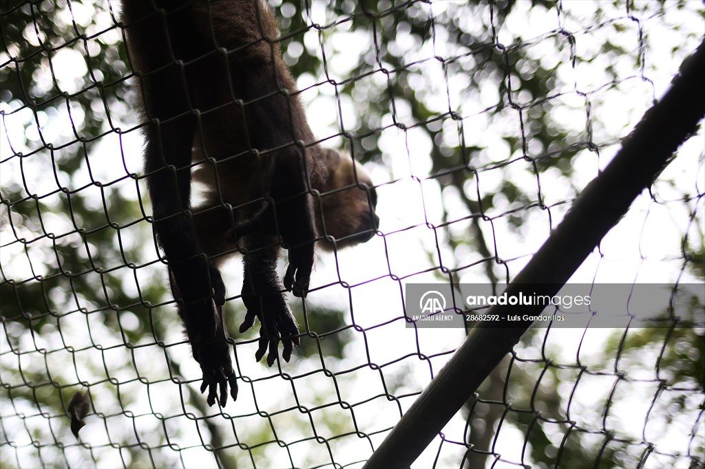 Senda Verde wildlife sanctuary in Bolivia