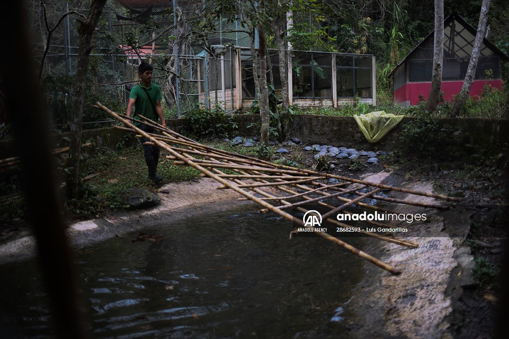 Senda Verde wildlife sanctuary in Bolivia
